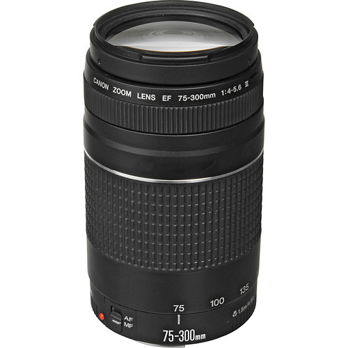 CANON ZOOM EF 75-300mm 1:4-5.6　Ⅱ 2303350 Canon EF 75-300mm f/4-5.6 III Lens